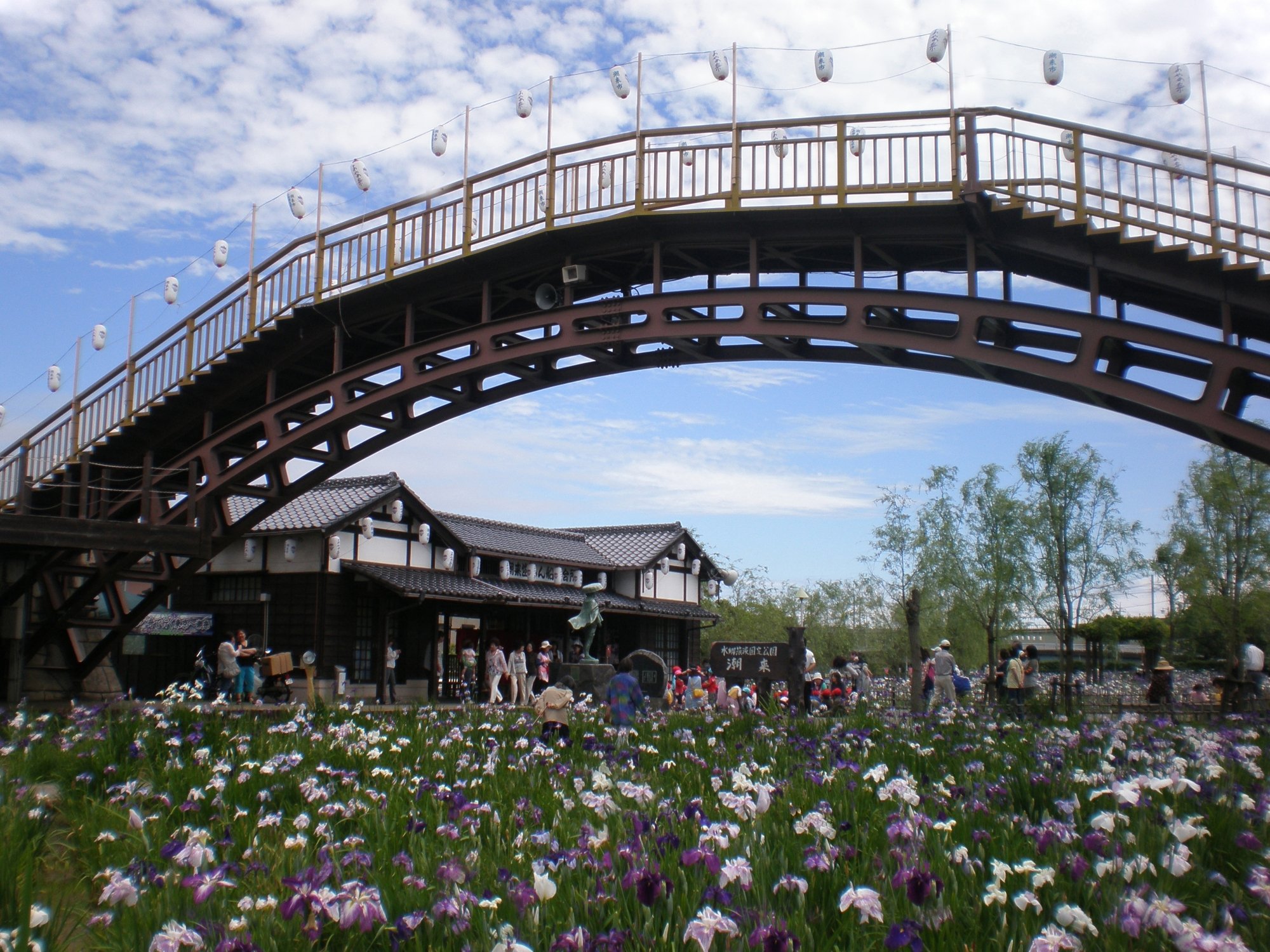 🌸 스이고 이타코 창포원(스이고 이타코 아야메엔) 이미지 9